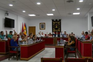 Votación en el Pleno en el que se adoptaba el acuerdo por unanimidad.