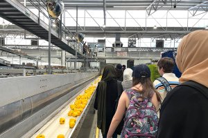 Visita IES Pablo Ruiz Picasso de El Ejido a CABASC, S.C.A.