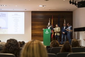 El presente ciclo abarca todos los géneros, desde la comedia al drama, pasando por el documental.