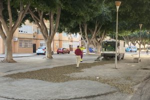 Máquina trabajando para recoger las hojas caídas