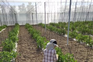 Los sueldos almerienses están a la cola de España.