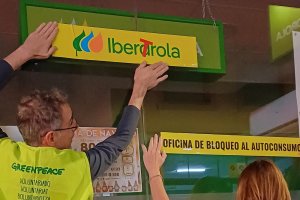 Voluntarios de Greenpeace.