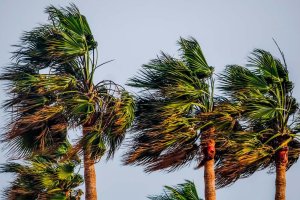 Imagen de archivo de una jornada de viento en Almería.