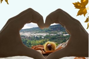 Imagen del cartel difundido.