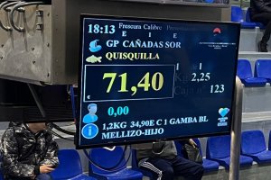 Subasta en la lonja pesquera de Almería.