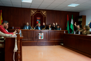 El pleno del ayuntamiento de Vícar aprueba la resolución