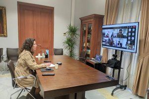 María del Mar Vázquez durante el encuentro telemático con Escrivá