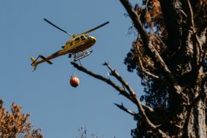Imagen de archivo de un helicóptero interviniendo en las labores de extinción de un incendio forestal.
