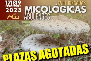 Cartel de las jornadas tras agotar las plazas.