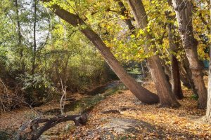 Foto de un punto del sendero de Joaquín Gaona.