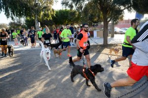 Corredores junto a sus animales domésticos en la carrera de Canicross de AlmAnimal.