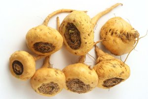 La maca, lo que sabemos y que no