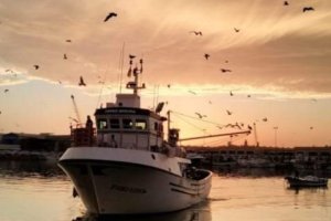 Imagen que ilustra el cartel de la exposición.