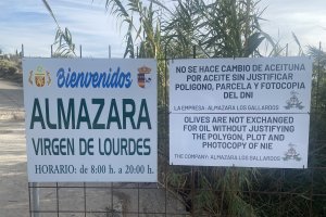 La almazara Virgen de Lourdes, de Los Gallardos, exige la identificación del polígono y la parcela de donde proviene la aceituna Foto: La Opinión