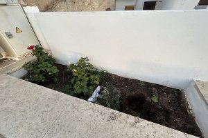 Las jardineras con los hibiscos sustraídos en Sorbas.