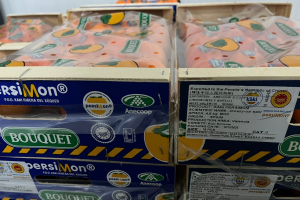 Kaki Persimon Bouquet a China