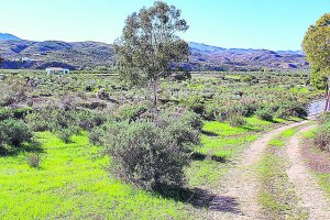 Casi la mitad de cambios de titularidad son herencias.