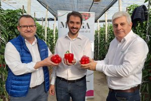 Equipo de desarrollo de Matga Sakata