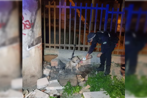 Un agente de la Policía Local da agua al perro abandonado.