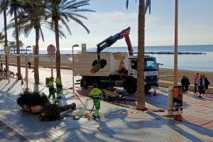 Retirada de una de las palmeras del paseo marítimo