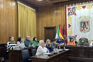 Imagen del Pleno de este viernes.