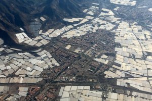 Agricultura bajo plástico en la costa de Almería. Imagen: Jaime Martínez Valderrama.