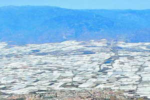 Los retos del sector agrícola almeriense en 2023 persisitirán, al parecer, en 2024. Algunos paracen llamados a convertirse en estructurales.