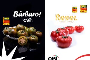 Casi recibe el Premio Sabor del año 2024