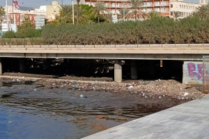 Al final de la Rambla de Almería, junto a la Ballena, también hay presencia de ratas.