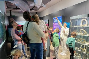 Actividades en el Aula del Mar de Roquetas.