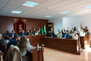 Votación a favor de los presupuestos de 2024 en el Pleno de Vícar.