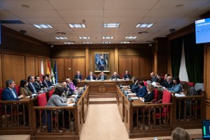 Pleno celebrado este lunes en la Diputación Provincial de Almería.