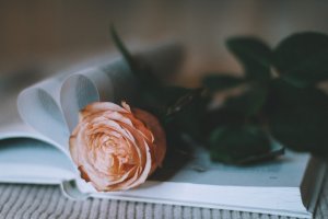 Un motivo de San Valentín. /Pixabay