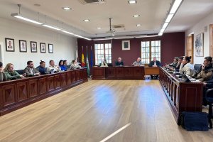 Un momento en el pleno del miércoles.