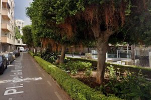 Los árboles que serán podados, en una imagen de Google Maps.