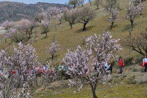 Imagen de archivo de una ruta anterior de la ruta senderista.