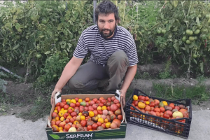 Eduardo Perote con alguno de los tomates que cultiva.