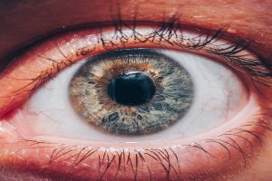 Banco de imágenes. Pexels