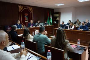 El pleno celebrado el pasado 9 de febrero.