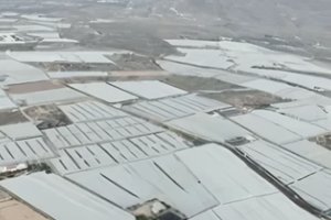 Agricultura nijareña.