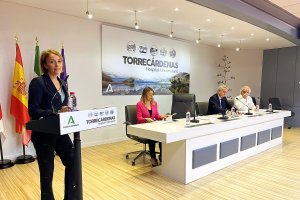 Presentación del balance en Torrecárdenas.