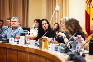 Rocío de Meer, la diputada de Vox por Almería en el Congreso de los Diputados.
