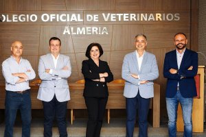 Junta de Gobierno del Colegio de Veterinarios.