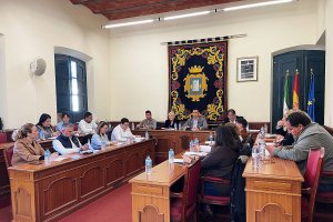 Pleno del Ayuntamiento de Níjar de este jueves.