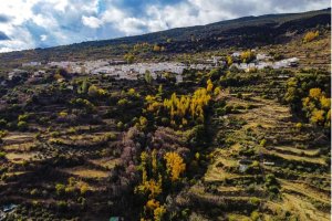 Panorámica de Paterna del Río. /Foto: Fernando Jiménez Robles