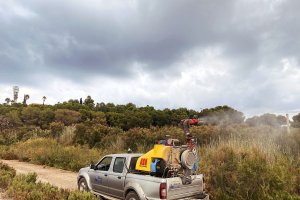 Vera arranca la lucha contra los mosquitos en su fase larvaria.