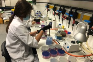 El equipo de investigación probó cómo interactuaban las lombrices con cuatro tipos de plásticos de uso agroalimentario