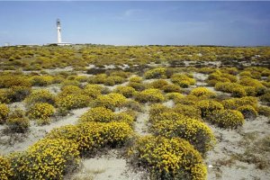 Parque Natural Cabo de Gata-Níjar.