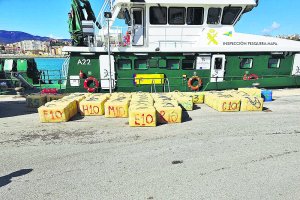 1.700 Toneladas de droga fueron incautadas por la unidad OCON-SUR desde 2018.