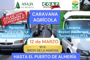 Cartel de convocatoria de la manifestación.